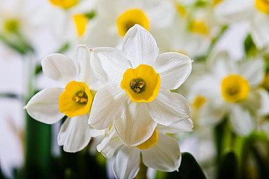 SE新作《魔咒之地》PC版新演示片段 誓要打造最美的开放世界